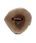 PXCUTD 7/8"