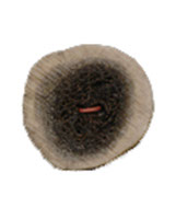 XCUTD 1 1/4"