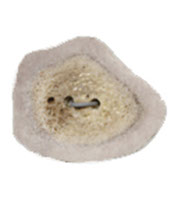 XCUTN 1 1/2"