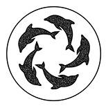Dolphin #2