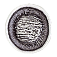 RE10