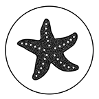 Star fish #1